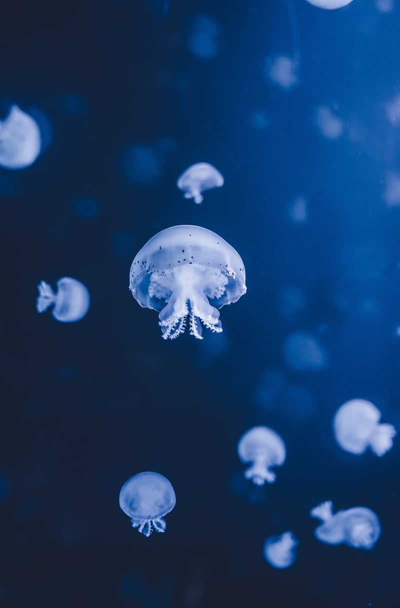 Underwater Cavern